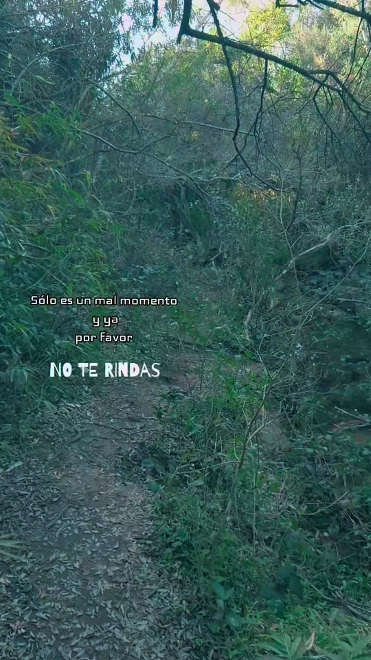 Post 9 by Villa Serrana Ivy Porá on TikTok (video)