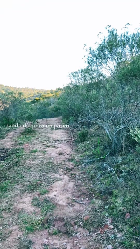 Post 5 by Villa Serrana Ivy Porá on TikTok (video)