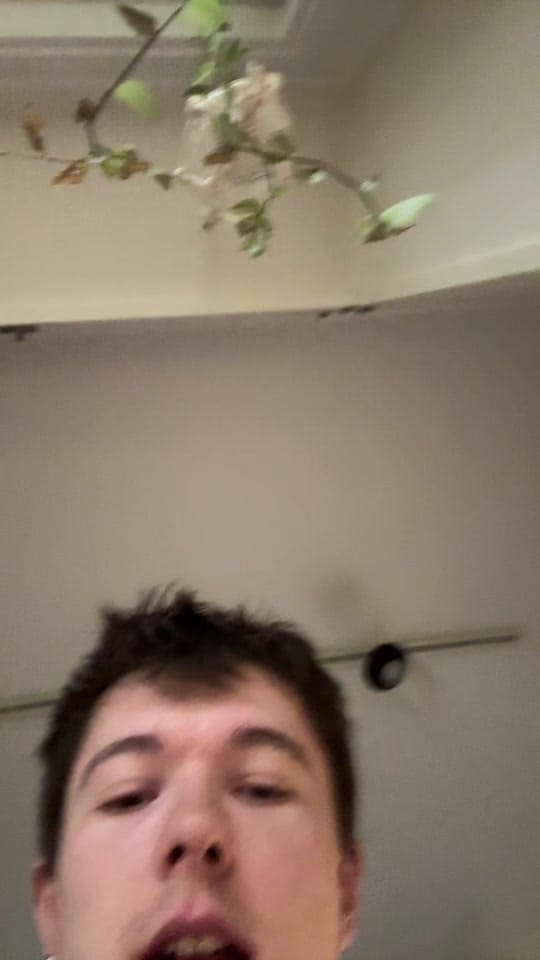 Post 4 by michael schildroth on TikTok (video)