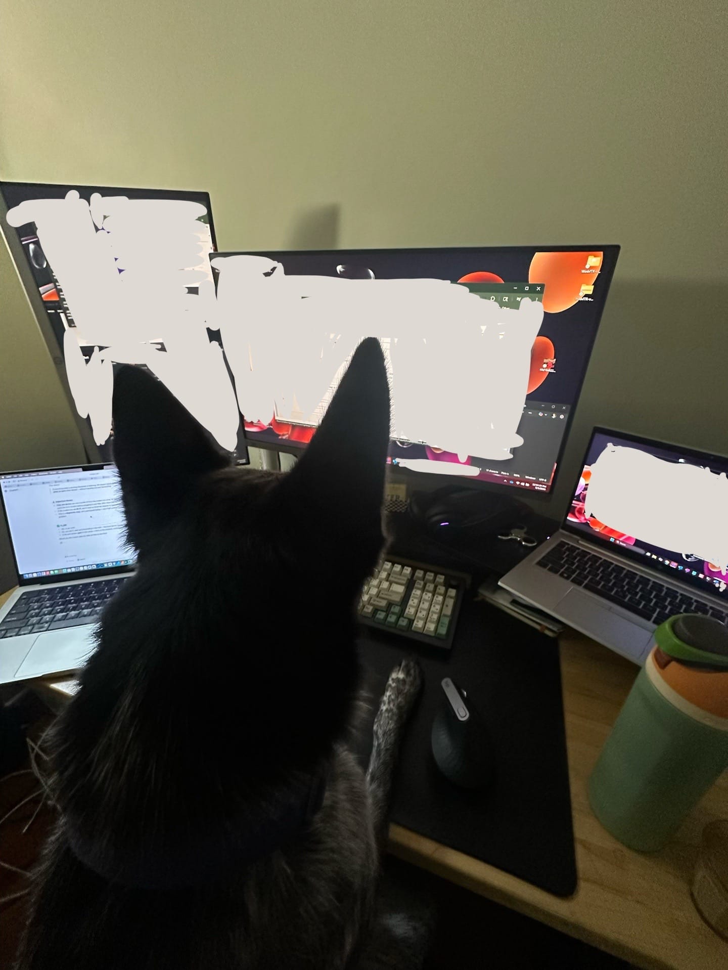 Post 6 by michael schildroth on TikTok (video)