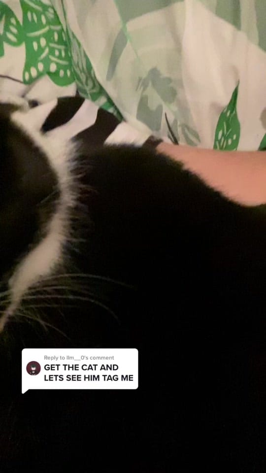Post 4 by bek on TikTok (video)