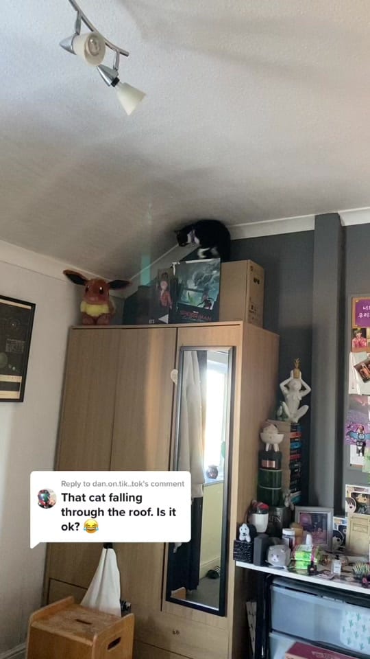 Post 5 by bek on TikTok (video)