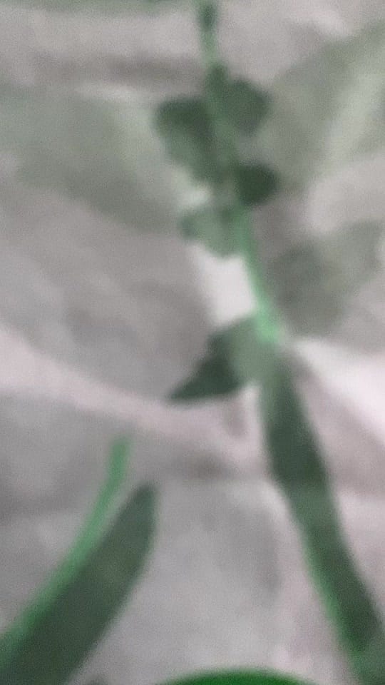 Post 8 by bek on TikTok (video)