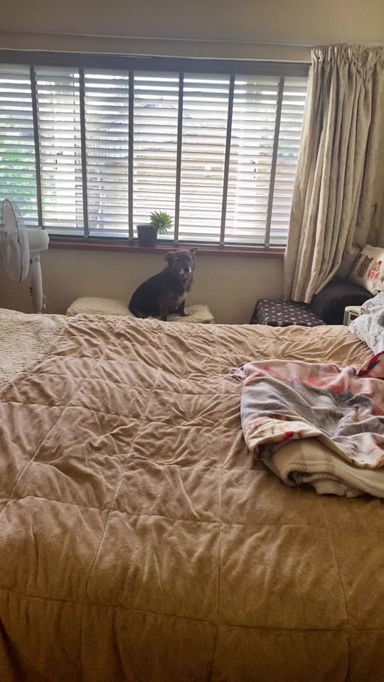 Post 7 by bek on TikTok (video)