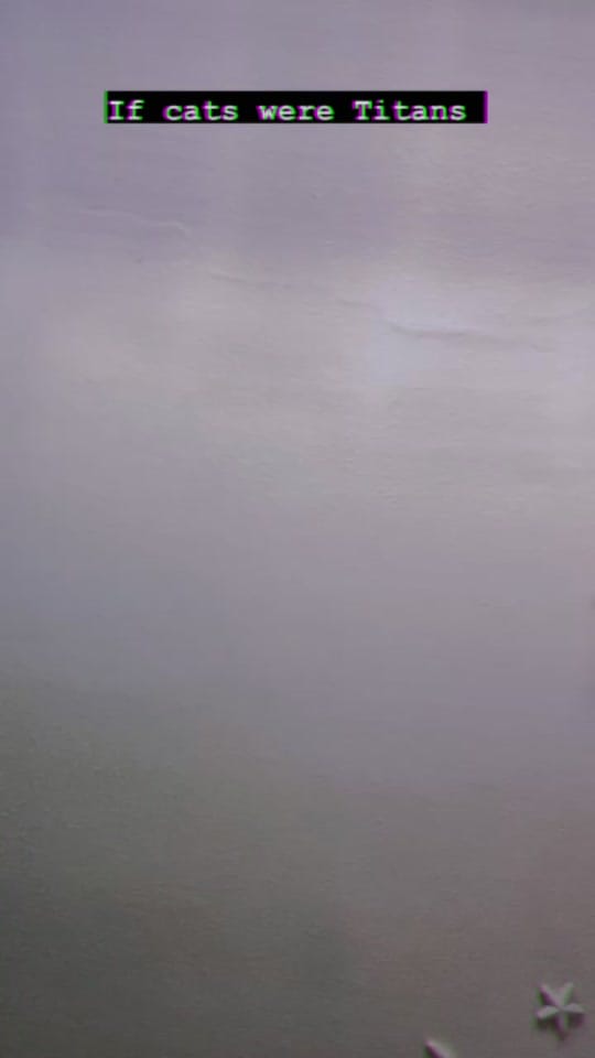 Post 9 by bek on TikTok (video)
