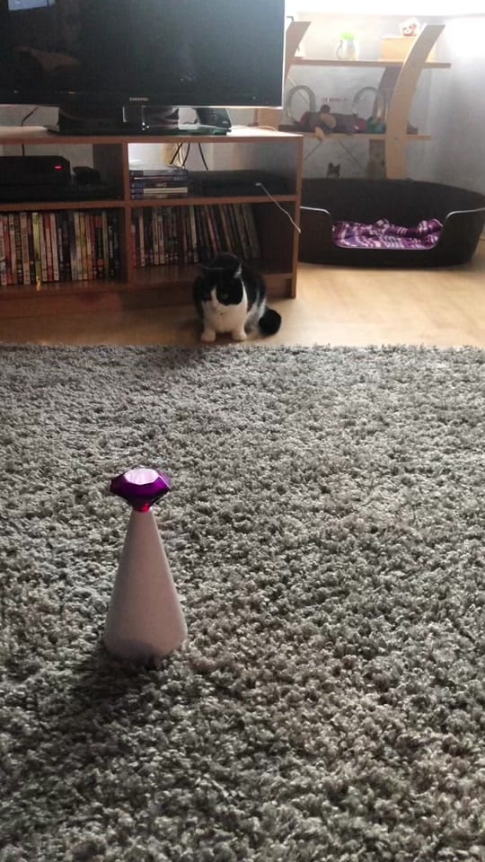 Post 1 by bek on TikTok (video)
