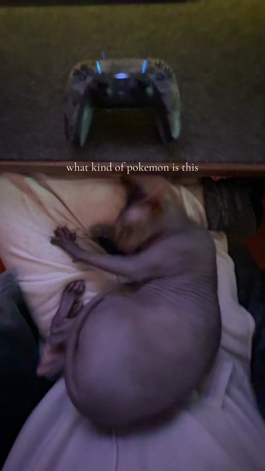 Post 3 by Bayly Shelley on TikTok (video)