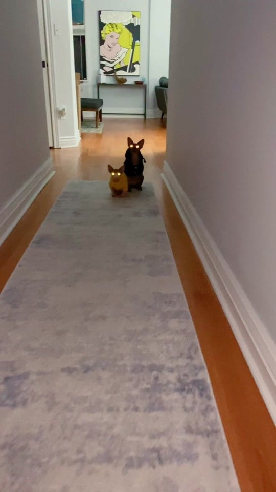 Post 8 by Bayly Shelley on TikTok (video)