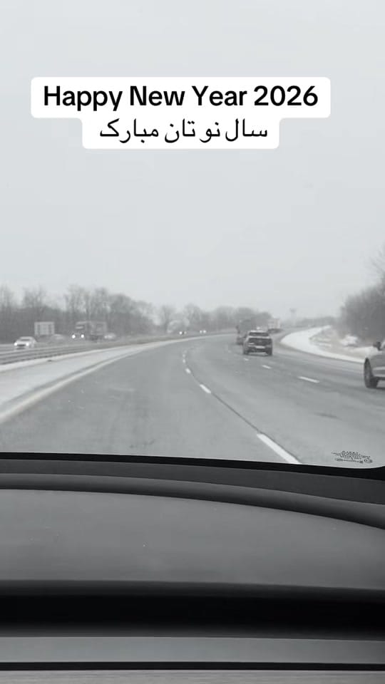 Post 9 by Hamid, Your Local RE/MAX EXPER on TikTok (video)