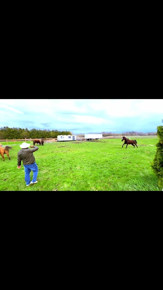 Post 5 by Tahir Mangatt on TikTok (video)
