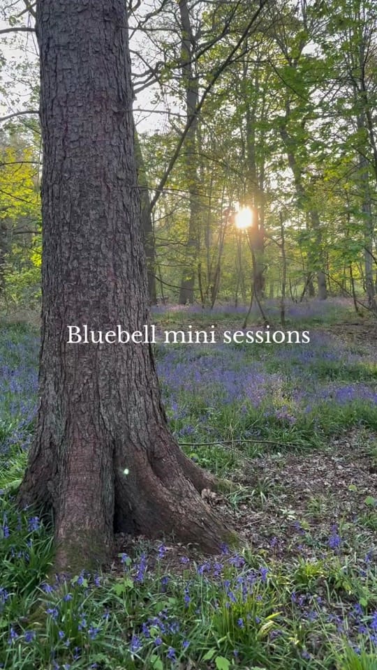 Post 3 by Adam Bird on TikTok (video)