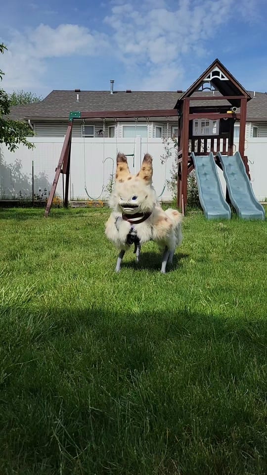 Post 3 by Mister Roger Rogers on TikTok (video)