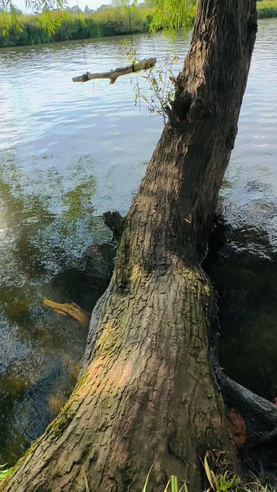 Post 9 by ✨Lydia✨ on TikTok (video)