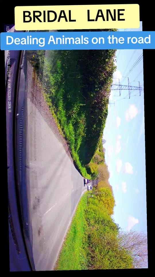 Post 8 by Naseer Ahmed on TikTok (video)