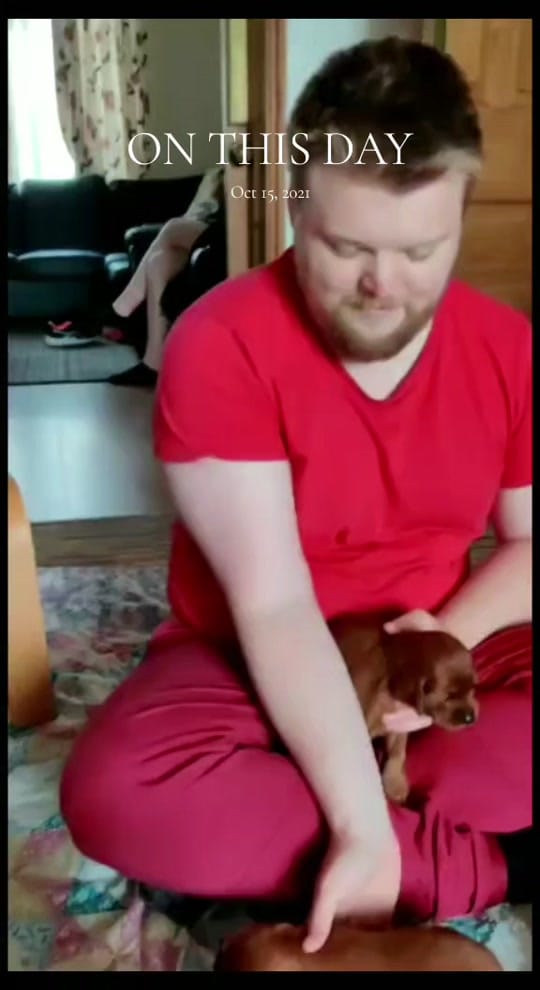 Post 2 by Róisín 🐶 and Orla 🙋🏻‍♀️ on TikTok (video)