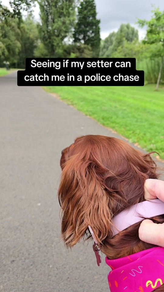 Post 5 by Róisín 🐶 and Orla 🙋🏻‍♀️ on TikTok (video)