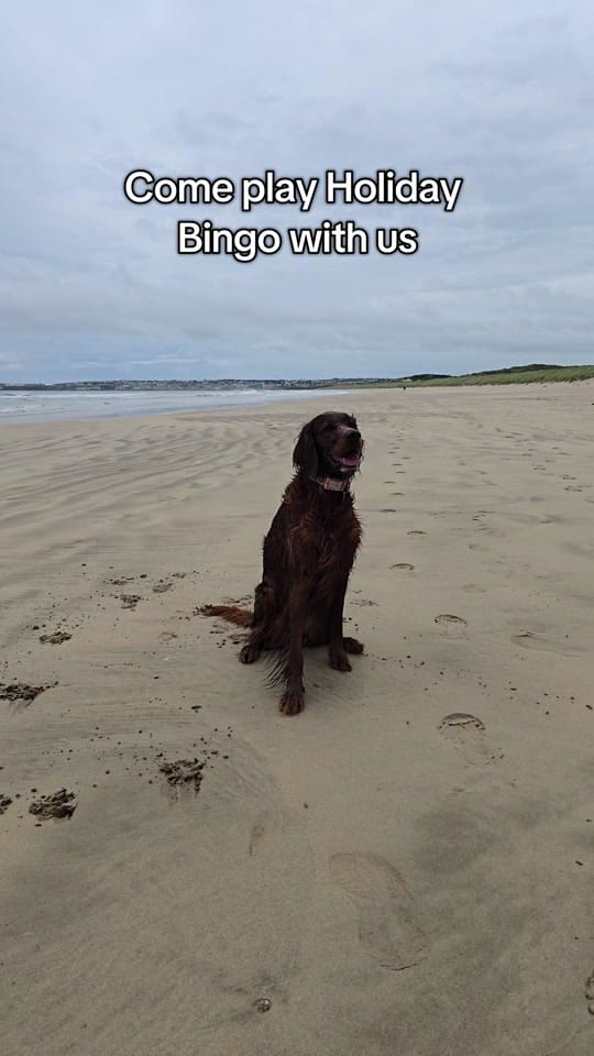 Post 4 by Róisín 🐶 and Orla 🙋🏻‍♀️ on TikTok (video)