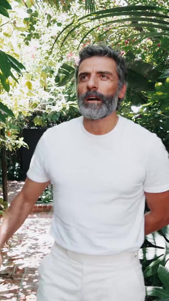 Post 10 by Oscar Isaac on TikTok (video)