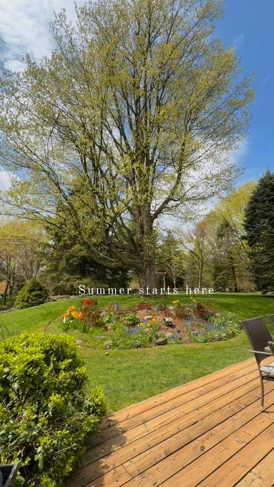 Post 1 by CarleyRealEstate on TikTok (video)