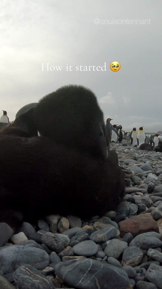 Post 2 by Saskia & Colin - Photos on TikTok (video)