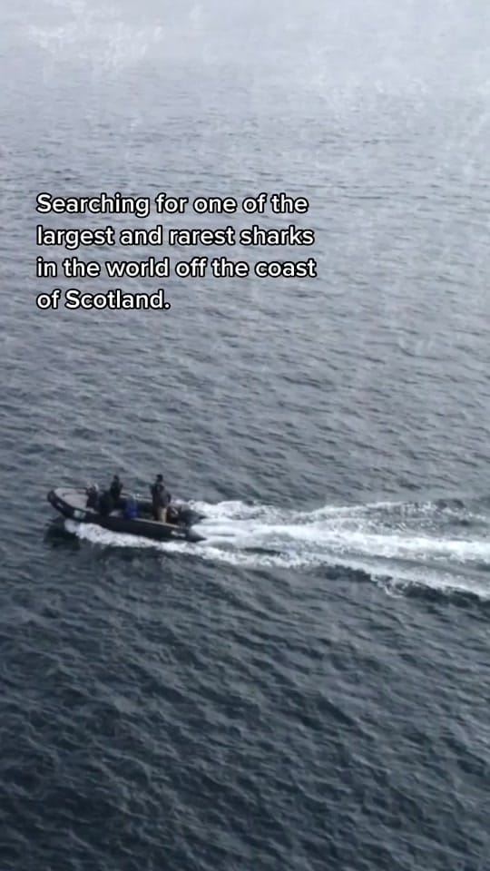 Post 10 by Saskia & Colin - Photos on TikTok (video)