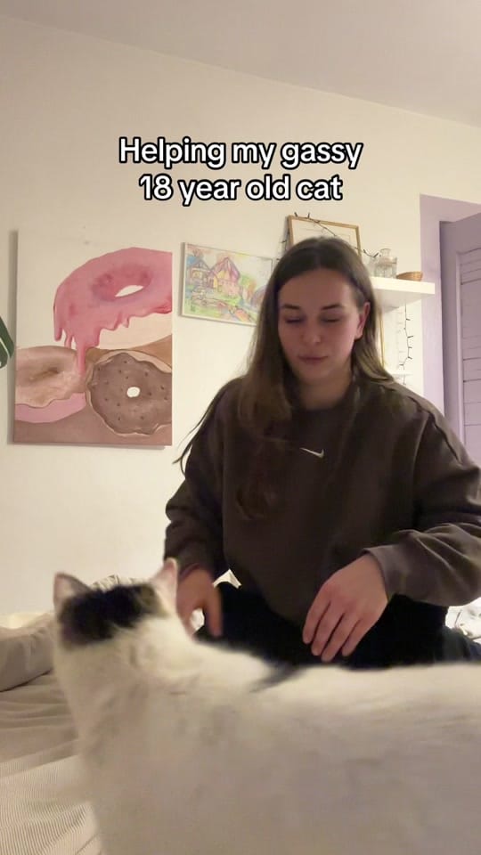 Post 8 by izuulec on TikTok (video)