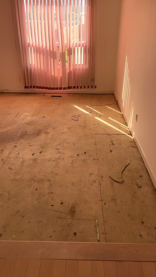 Post 5 by ZED on TikTok (video)