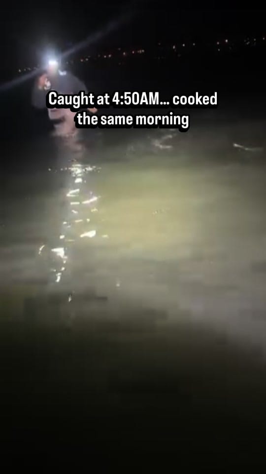 Post 5 by HookedOnDane on TikTok (video)