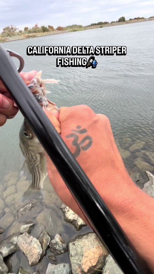 Post 9 by HookedOnDane on TikTok (video)
