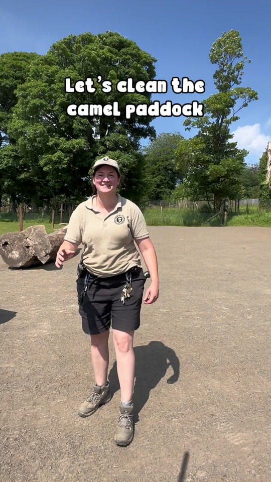 Post 8 by Manor Wildlife Park on TikTok (video)