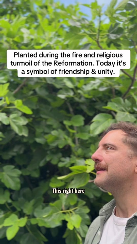 Post 1 by TheHistoryHusband on TikTok (video)