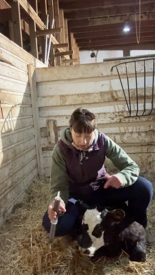 Post 3 by Our Wyoming Life on TikTok (video)