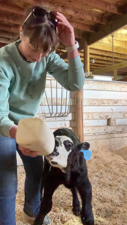 Post 2 by Our Wyoming Life on TikTok (video)