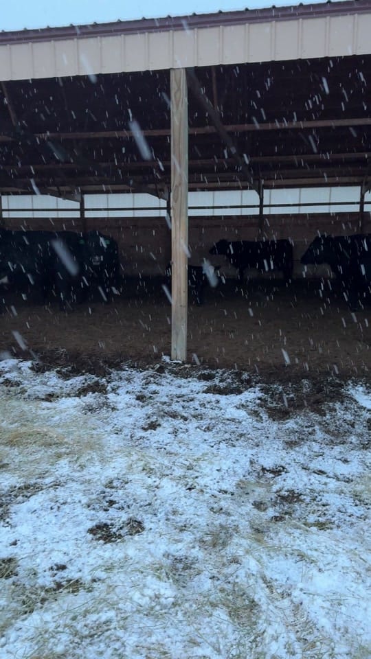 Post 6 by Our Wyoming Life on TikTok (video)
