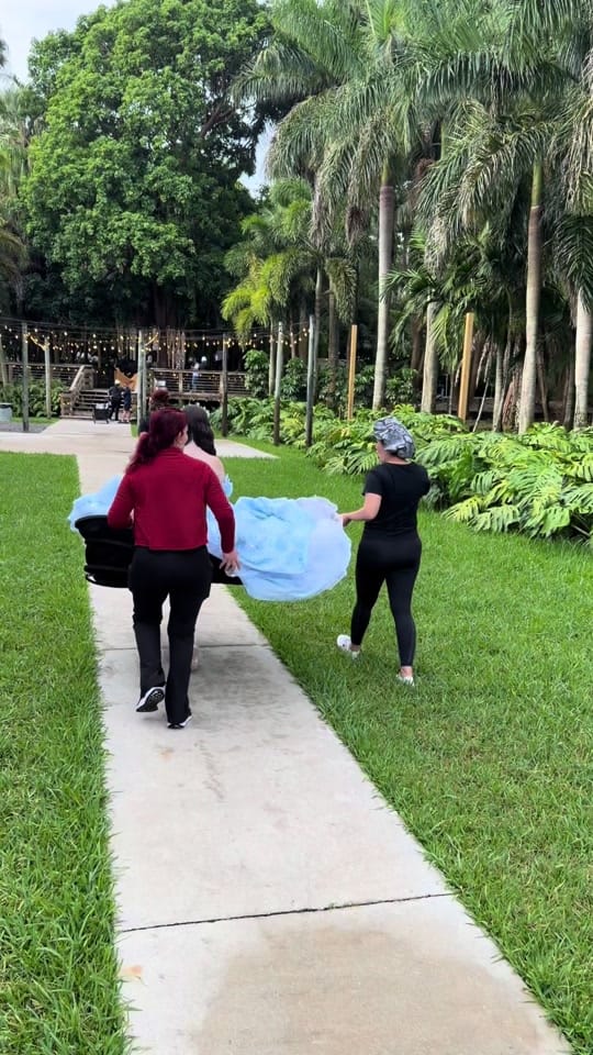 Post 5 by goldphotographymiami on TikTok (video)