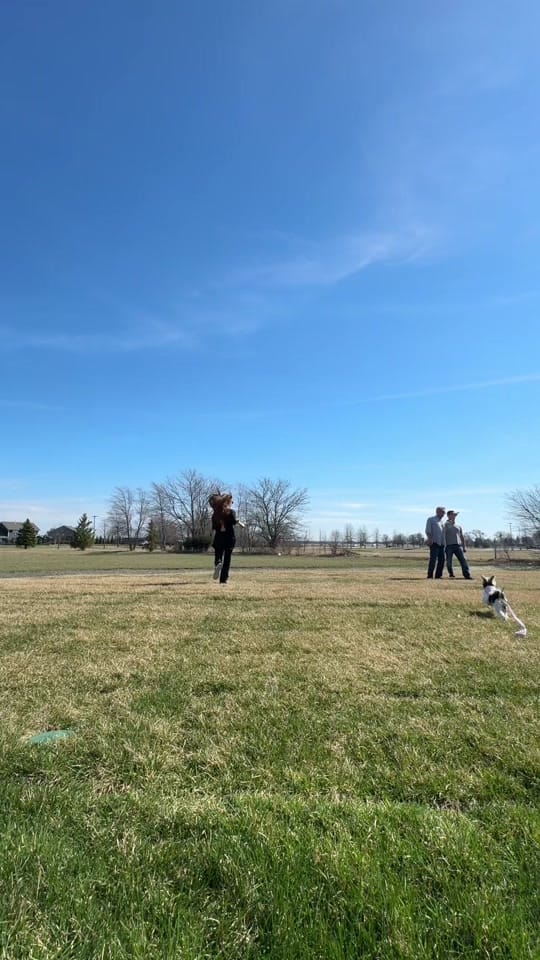 Post 2 by alyssa on TikTok (video)