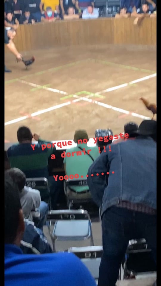 Post 6 by Gerard Butler on TikTok (video)