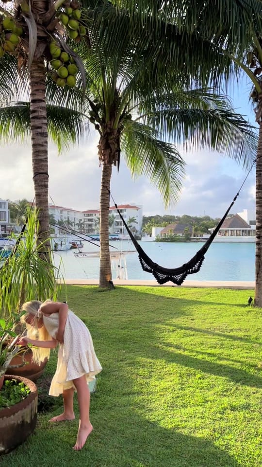 Post 6 by Laurencecarvalho on TikTok (video)