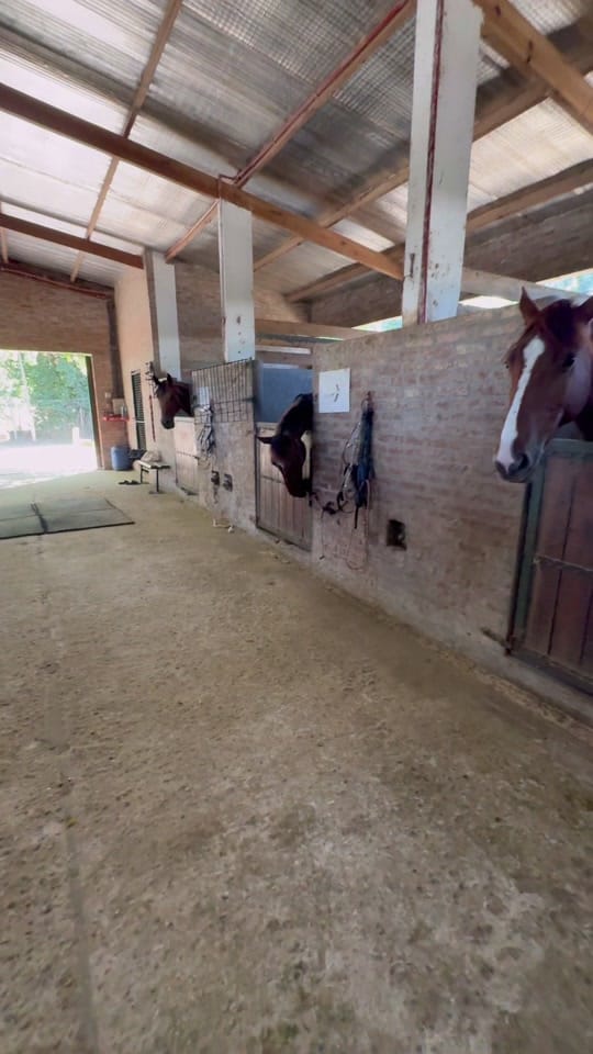 Post 9 by Fernando Colombo on TikTok (video)