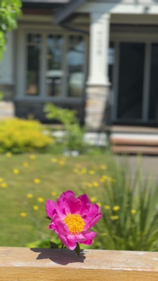 Post 6 by Vancouver Agent 🇨🇦 🍁 on TikTok (video)