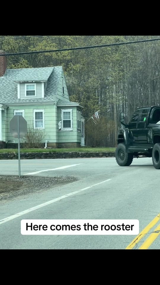 Post 10 by Logan_jeppesen on TikTok (video)