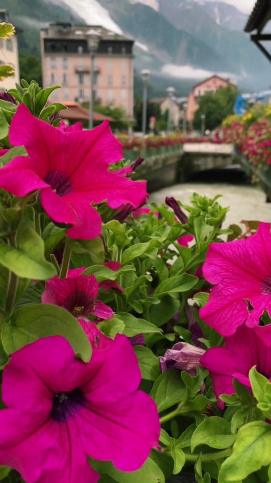 Post 2 by Daniel Jones on TikTok (video)
