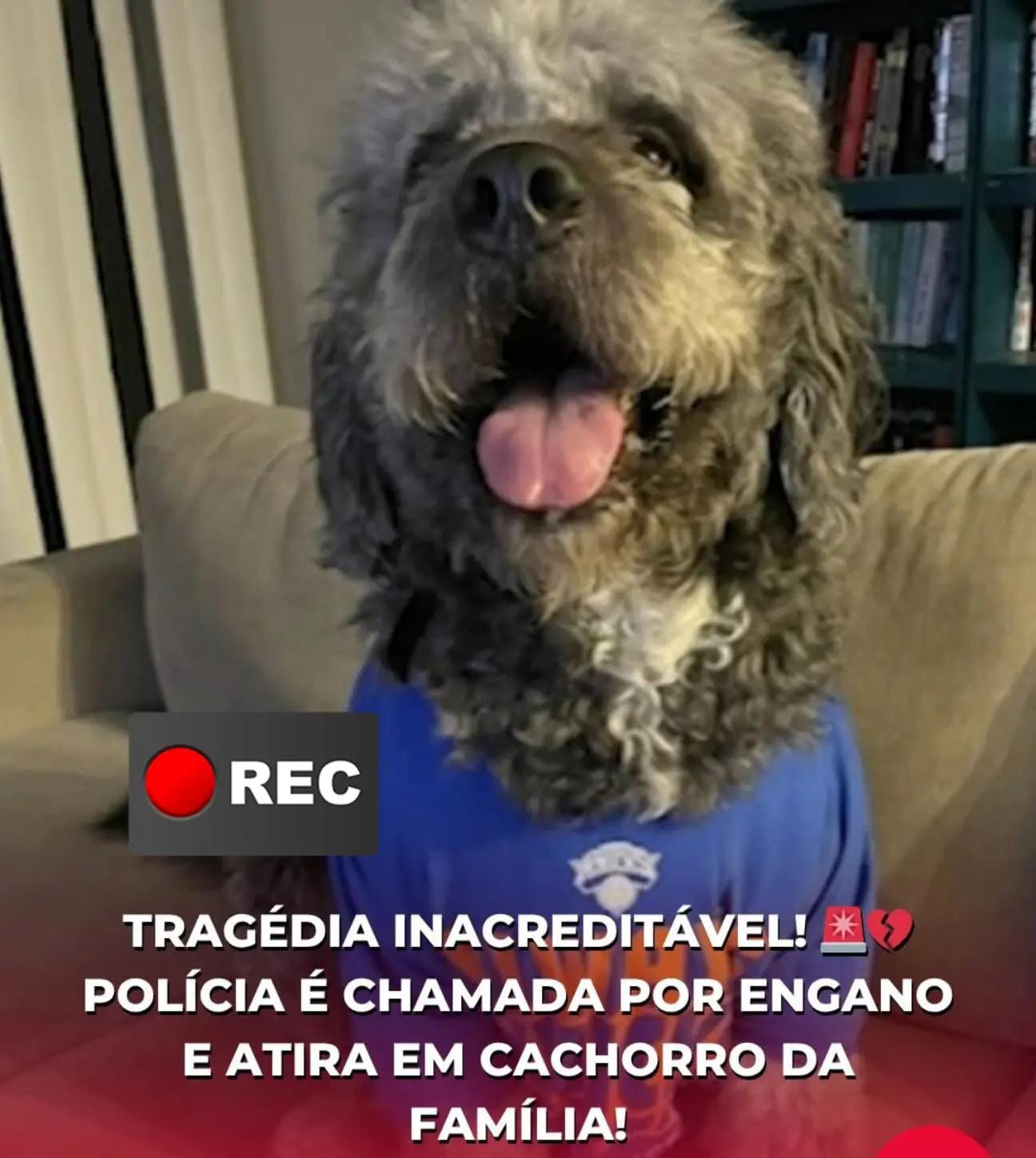 Post 4 by Rec Mix on TikTok (video)