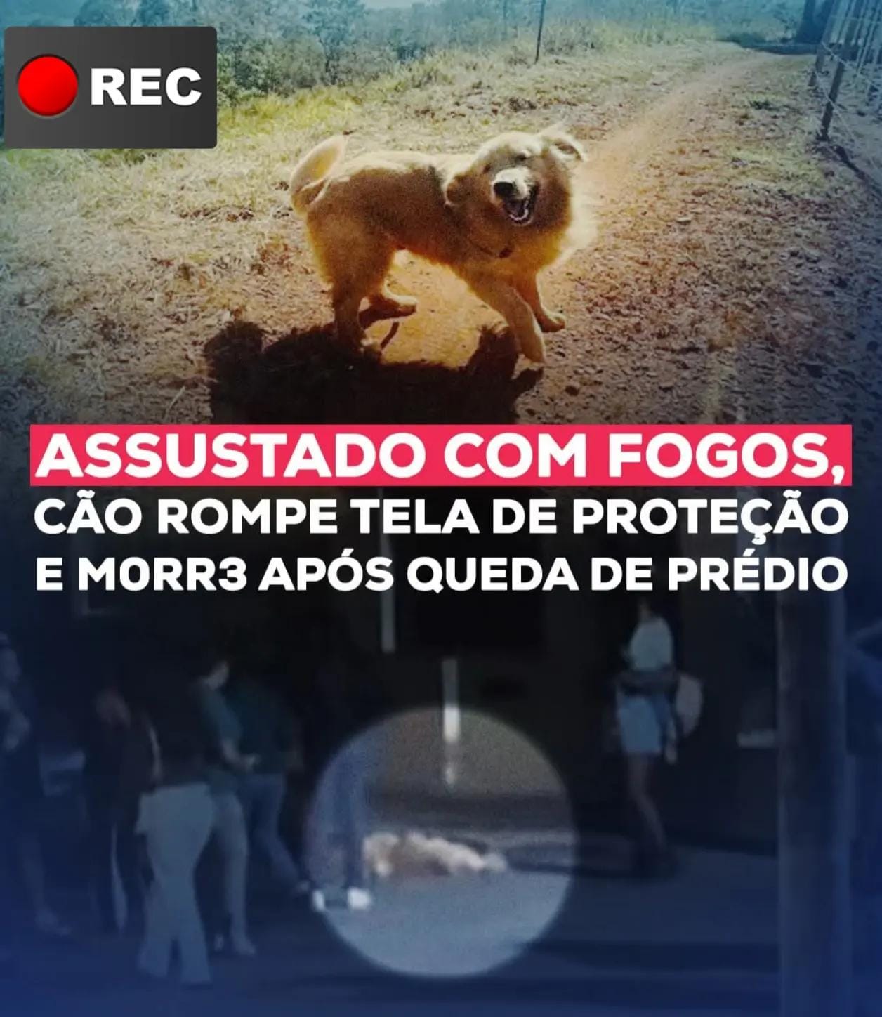 Post 5 by Rec Mix on TikTok (video)
