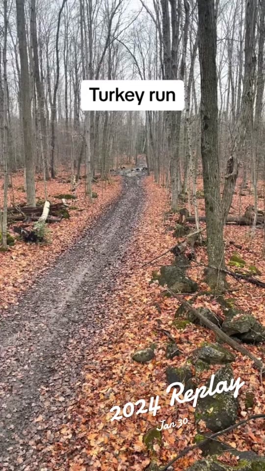 Post 4 by Mvitorino on TikTok (video)