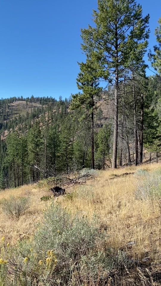 Post 3 by Kearsten on TikTok (video)