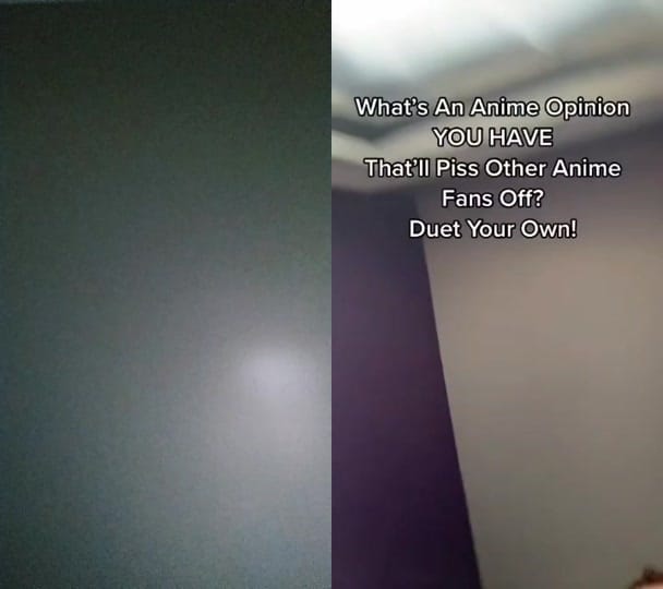 Post 10 by LispyLib on TikTok (video)