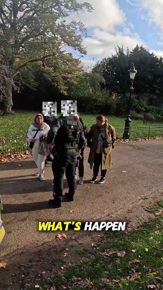 Post 8 by Pickpocketlondon on TikTok (video)