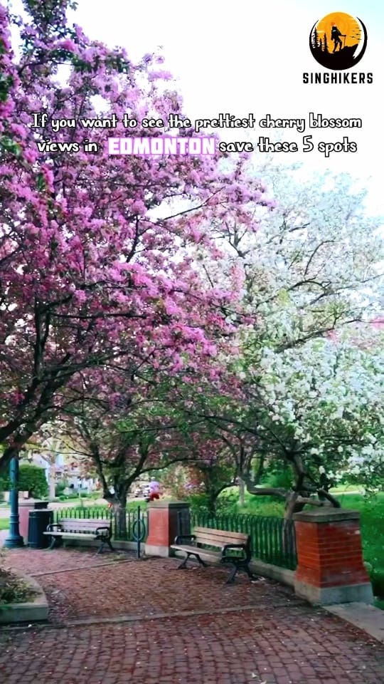 Post 7 by Singhikers on TikTok (video)