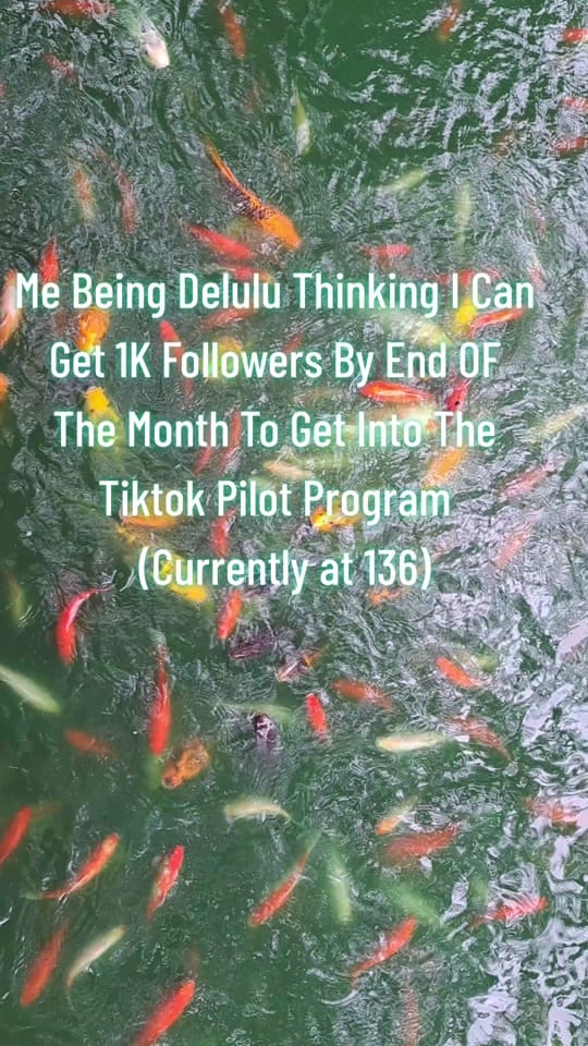 Post 5 by TinaTime on TikTok (video)